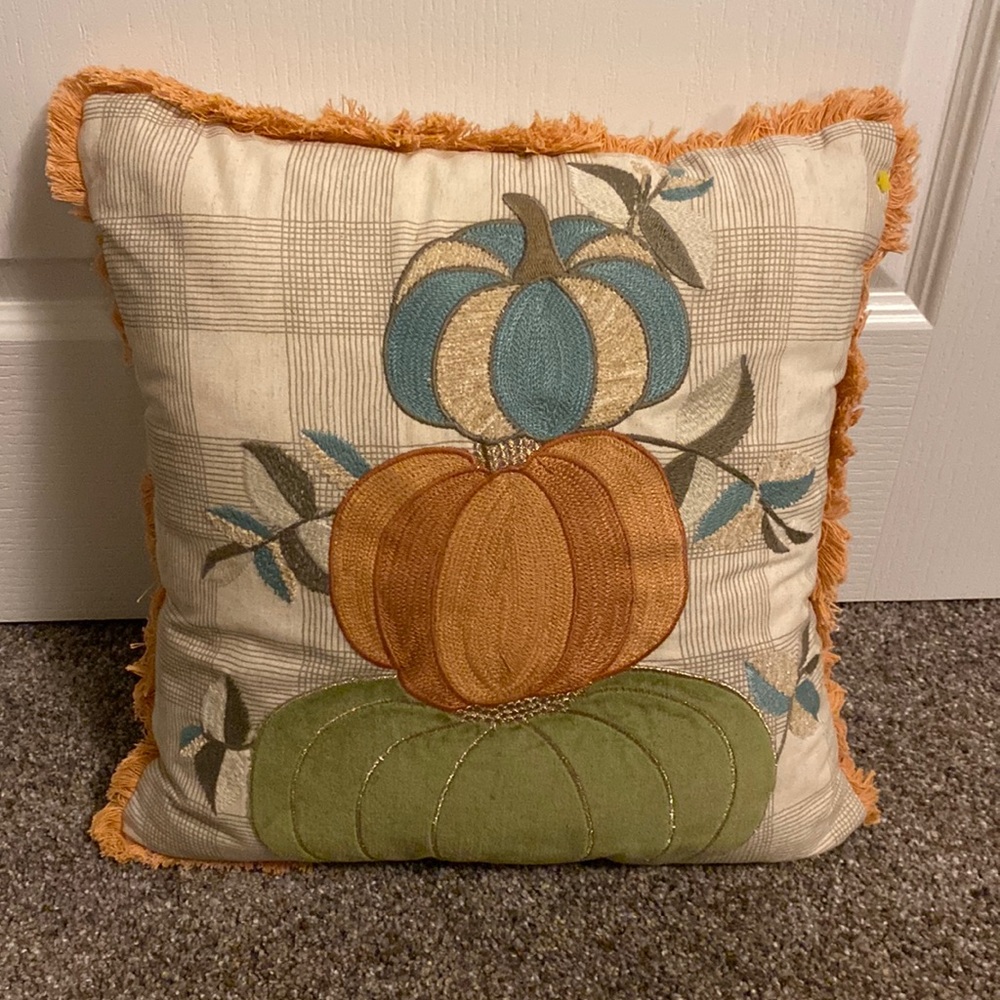 Pier 1 harvest pillow